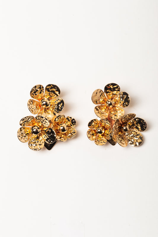 Aretes Eva