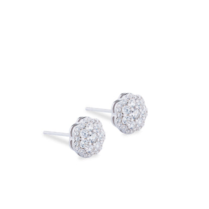 Arete Mariana Plata