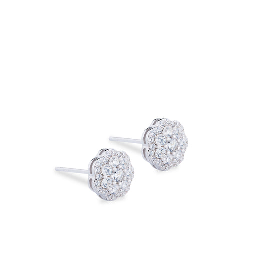 Arete Mariana Plata