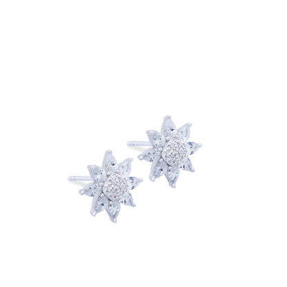 Aretes Astro Plata
