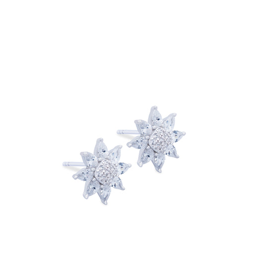 Aretes Astro Plata