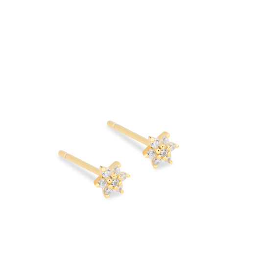 Arete Estela Oro