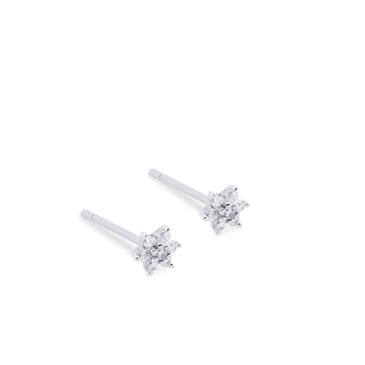Arete Estela Plata