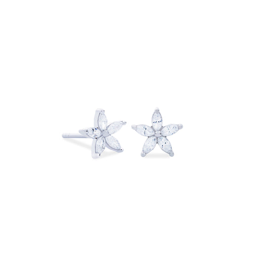 Aretes Flori Plata