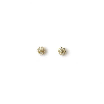 Aretes Anto Oro