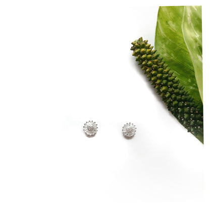 Aretes Anto Plata