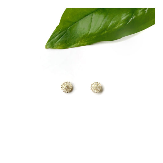 Aretes Anto Oro