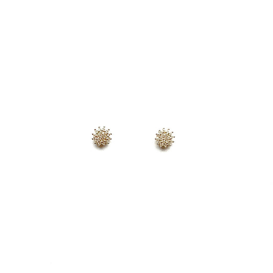 Aretes Sara Oro chicos
